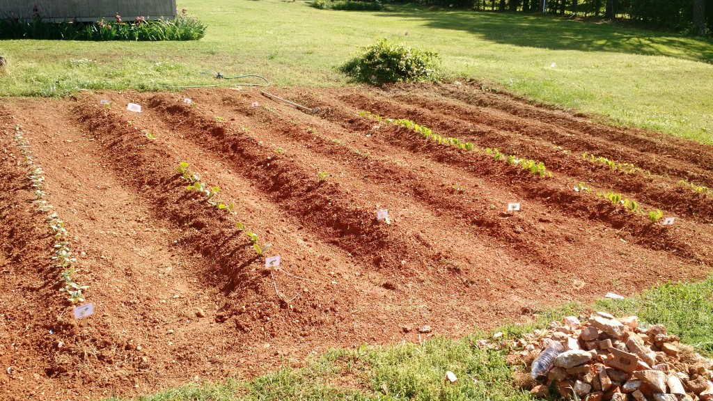 IMG_20160505_155748071